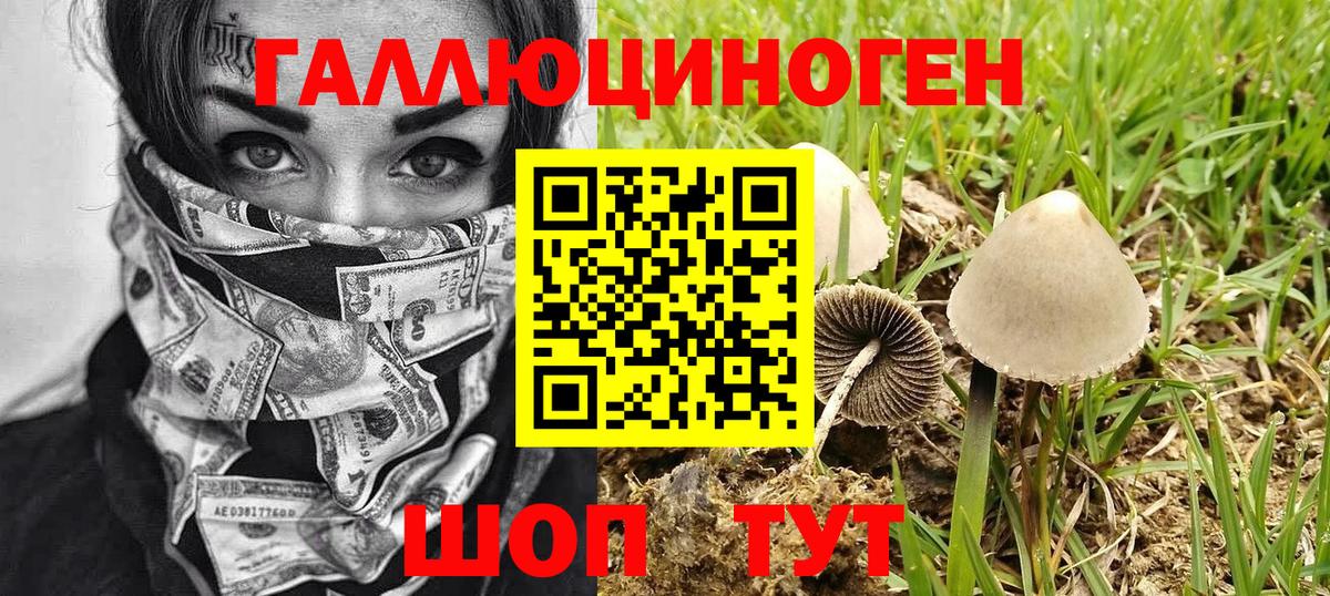 Барабинск  Псилоцибиновые грибы мицелий  Вход с VPN 